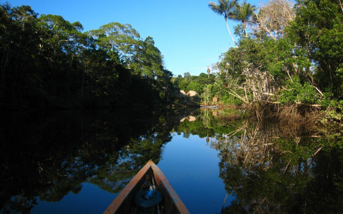Explora la Selva Amazónica en el Santuario de Cuyabeno, Ecuador