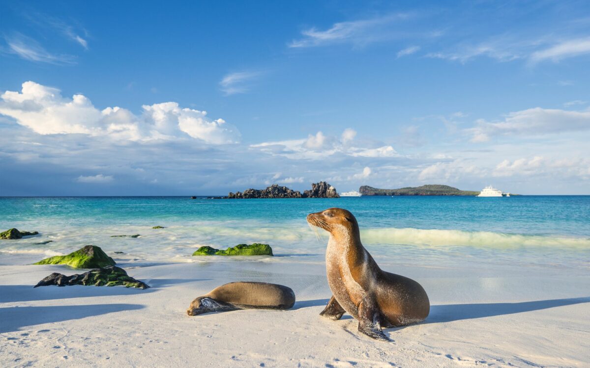 Galápagos: Biodiversidad Única en un Paraíso Natural