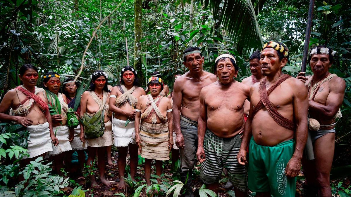Amazonía Ecuatoriana: Aventura en la Selva Tropical